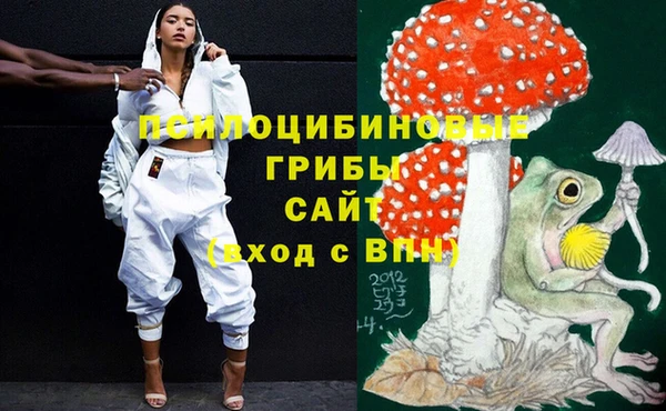 ГАЛЛЮЦИНОГЕННЫЕ ГРИБЫ Дмитровск