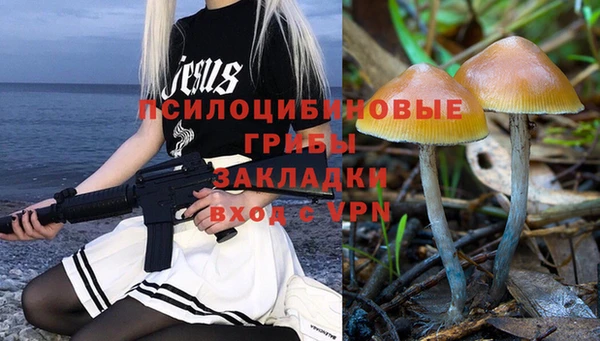 дмт Дмитров