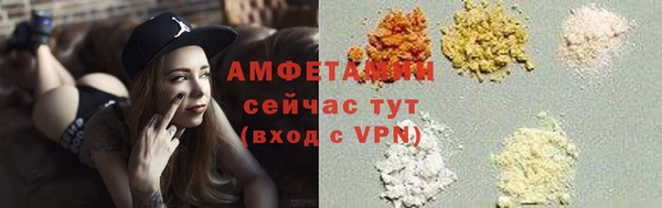 дмт Дмитров