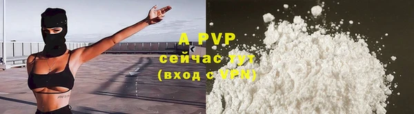 дмт Дмитров