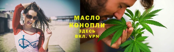 гашик Дмитриев