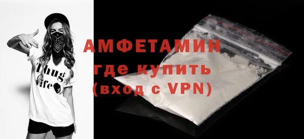 дмт Дмитров