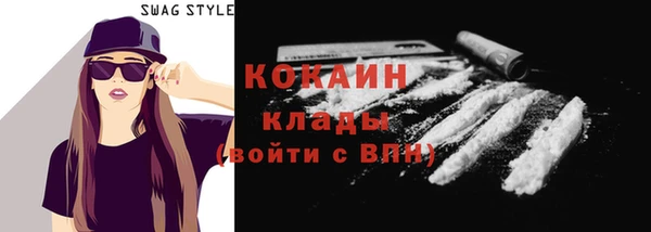 дмт Дмитров