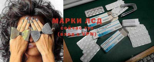 дмт Дмитров