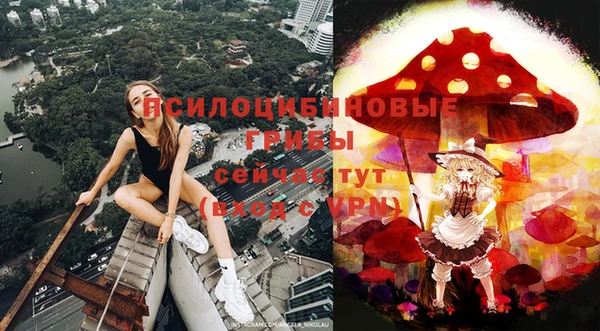 дмт Дмитров