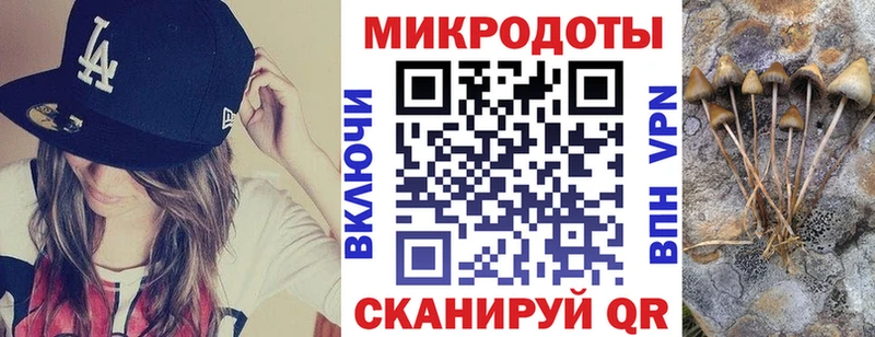 Купить где  Кинель  Галлюциногенные грибы мухоморы 